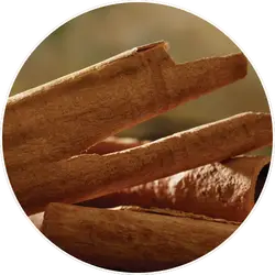 Cinnamomum