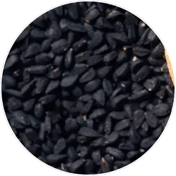 Nigella Sativa